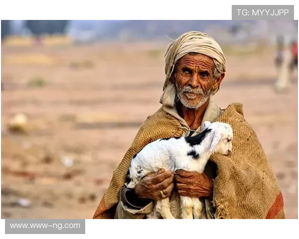 斯洛特：伊萨克疑虑与埃基悲剧的先知之眼